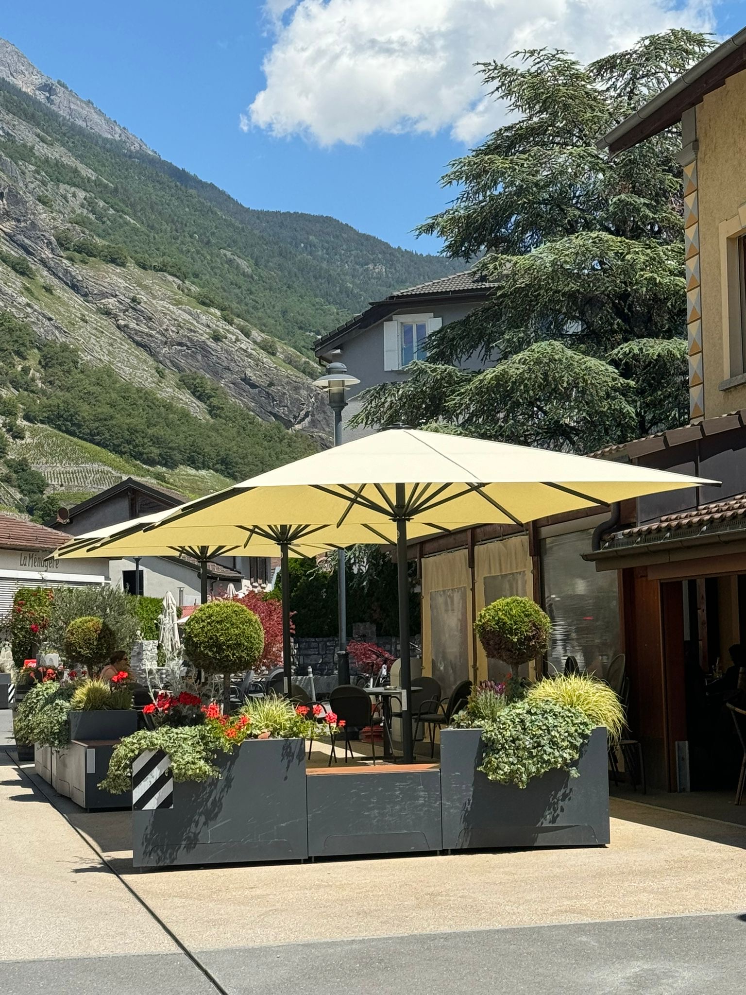 Terrasse des Alpes à Ardon